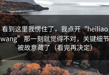 看到这里我愣住了，我点开“heiliaowang”那一刻就觉得不对，关键细节被故意藏了（看完再决定）