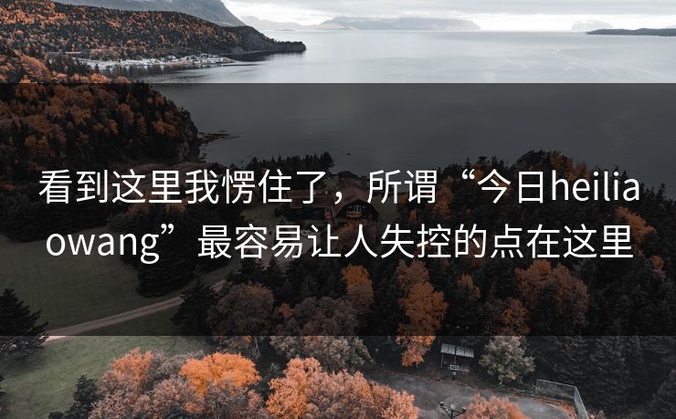 看到这里我愣住了，所谓“今日heiliaowang”最容易让人失控的点在这里