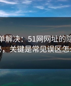 一张清单解决：51网网址的隐藏选项不神秘，关键是常见误区怎么理解