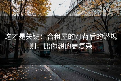 这才是关键：合租屋的灯背后的潜规则，比你想的更复杂