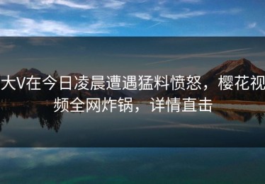 大V在今日凌晨遭遇猛料愤怒，樱花视频全网炸锅，详情直击