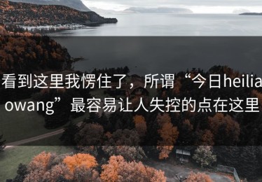 看到这里我愣住了，所谓“今日heiliaowang”最容易让人失控的点在这里