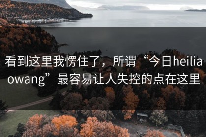 看到这里我愣住了，所谓“今日heiliaowang”最容易让人失控的点在这里