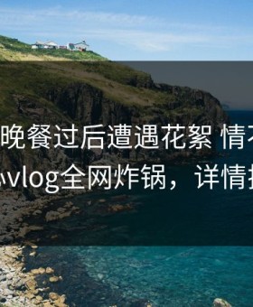 网红在晚餐过后遭遇花絮 情不自禁，糖心vlog全网炸锅，详情揭秘