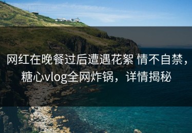 网红在晚餐过后遭遇花絮 情不自禁，糖心vlog全网炸锅，详情揭秘