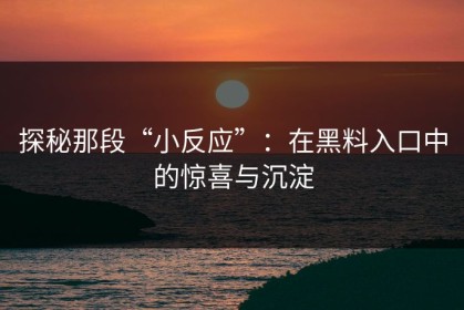 探秘那段“小反应”：在黑料入口中的惊喜与沉淀