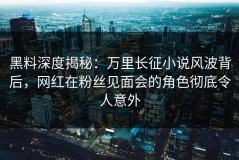 黑料深度揭秘：万里长征小说风波背后，网红在粉丝见面会的角色彻底令人意外