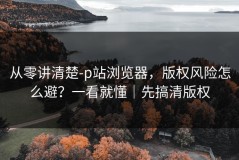 从零讲清楚-p站浏览器，版权风险怎么避？一看就懂｜先搞清版权
