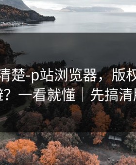 从零讲清楚-p站浏览器，版权风险怎么避？一看就懂｜先搞清版权