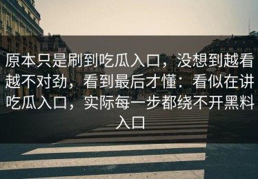 原本只是刷到吃瓜入口，没想到越看越不对劲，看到最后才懂：看似在讲吃瓜入口，实际每一步都绕不开黑料入口