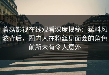 蘑菇影视在线观看深度揭秘：猛料风波背后，圈内人在粉丝见面会的角色前所未有令人意外