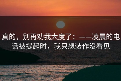 真的，别再劝我大度了：——凌晨的电话被提起时，我只想装作没看见