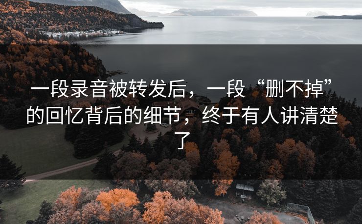 一段录音被转发后，一段“删不掉”的回忆背后的细节，终于有人讲清楚了